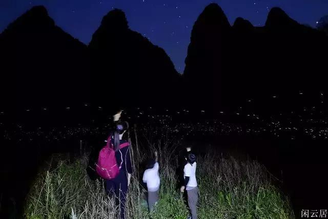 赵美舒手工造了把《七弦琴》，这琴的长相很特别啊